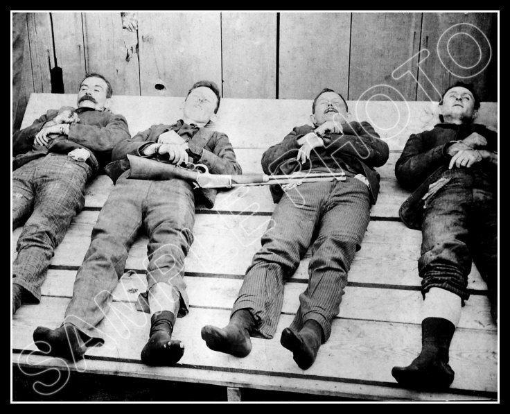 the dalton gang